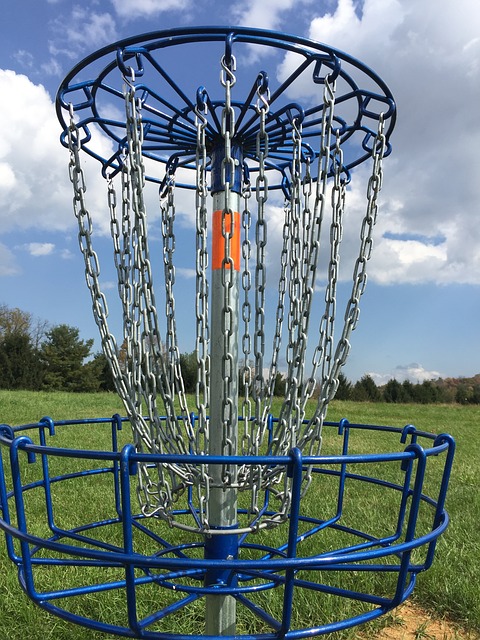 disc golf basket