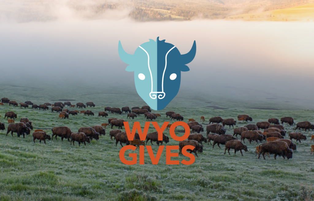 WyoGives - Herd of buffalo with logo