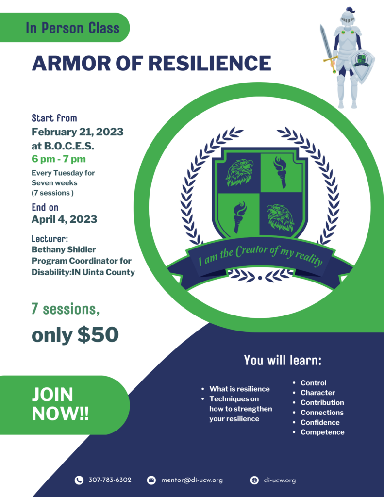 Armor of Resilience - Full Poster